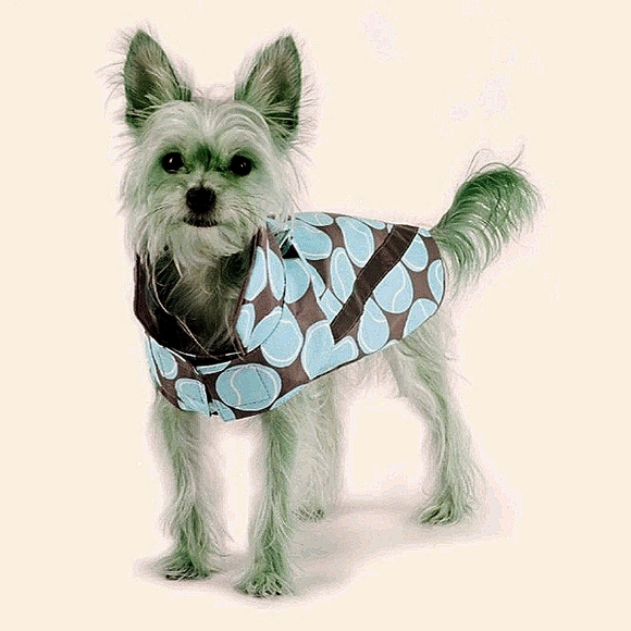 bailey & bella Dog Blue Bailey Bella Dog Rain Jacket Size Xs Poshmark